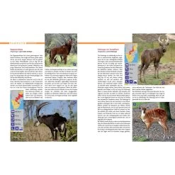 AFRIKA SAFARI REISEFÜHRER - Reiseführer -Fahrradausrüstung Geschäft 5637362886 d afrika safari reisefuehrer 24