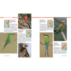 AFRIKA SAFARI REISEFÜHRER - Reiseführer -Fahrradausrüstung Geschäft 5637362886 e afrika safari reisefuehrer 24